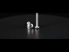 クロスインセッシングステンレス鋼パンヘッド 機械のスクリュー 自律タッピング DIN 7981